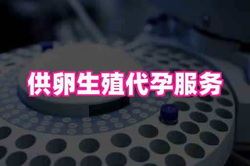 南昌助孕网 4